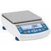 PS R1 PRECISION BALANCES - PS 6100.R1.M