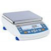 PS R1 PRECISION BALANCES - PS 4500.R1.M