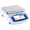 PS X2 PRECISION BALANCES - PS 4500.X2.M