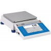 WLY PRECISION BALANCES - WLY 10/D2