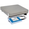 WLY PRECISION BALANCES - WLY 12/F1/K
