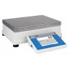 PM 4Y PRECISION BALANCES - PM 35.4Y