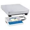 C32.K MULTIFUNCTIONAL SCALES - C32.30.F1.K
