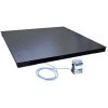WPT/4C PLATFORM SCALES - WPT/4 6000 C10