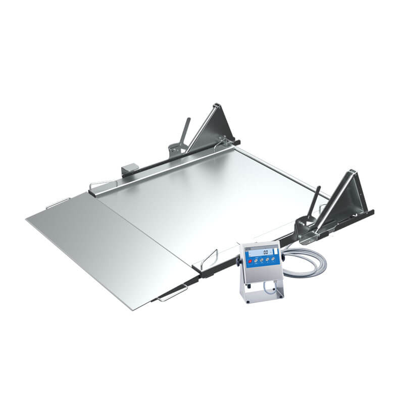 WPT/4N/H.LD STAINLESS STEEL RAMP SCALES - WPT/4N 300 H1.LD