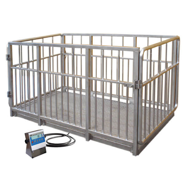 WPT 4I/H STAINLESS STEEL LIVESTOCK SCALES - WPT/4I 2000 H1