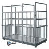 WPT 4I/H STAINLESS STEEL LIVESTOCK SCALES - WPT/4I 2000 H3