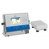 HX5.EX-1 H WATERPROOF PLATFORM SCALES - HX5.EX-1.3.H1
