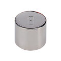 F2 Mass Standard - knob weights - F2200