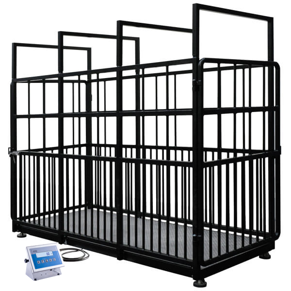 h315_4i_2000_s3_livestock_scale_0 H315 4I/S Livestock Scales - H315.4I.2000.S1