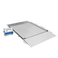 HX7.4N H Multifunctional Stainless Steel Ramp Scales - HX7.4N.300/600.H2