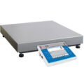 WLY Precision Balance - WLY1/D2